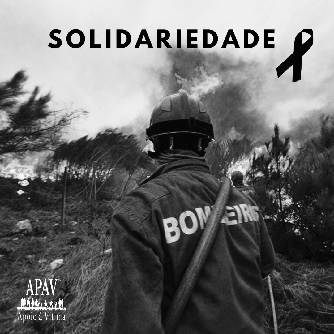 Solidariedade